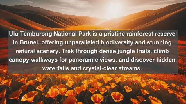 Video thumbnail for Exploring the Natural Wonders of Brunei: Top 10 Must-Visit Landscapes