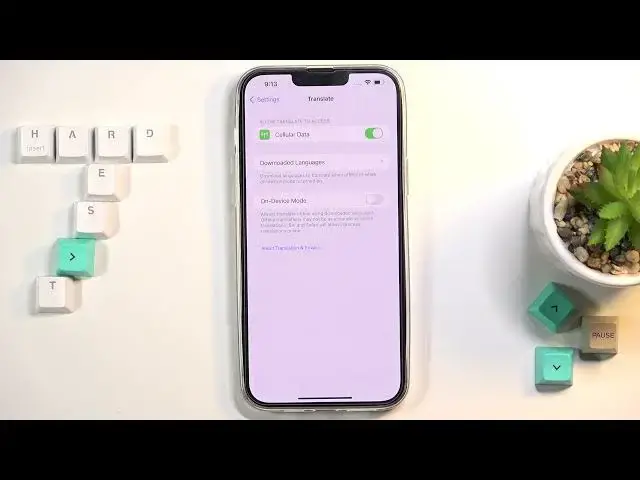 Video thumbnail for How to Download Languages to Translate Offline in iPhone 13 Pro Max?