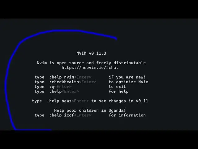 Video thumbnail for Why EVERYONE is Switching from VS Code to Neovim It's Actually INSANE!