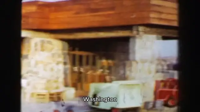 Video thumbnail for The Success of Starbucks Building a Coffee Empire