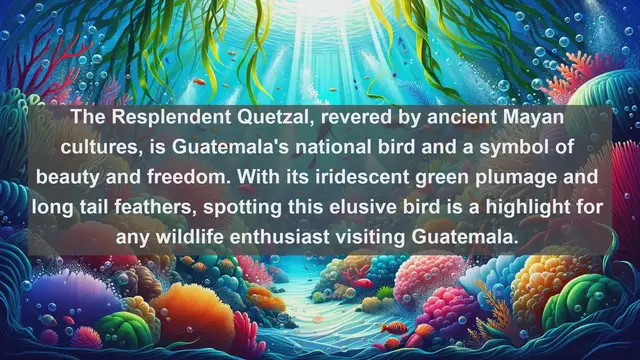 Video thumbnail for Top 10 native fauna in Guatemala