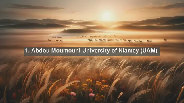 Video thumbnail for Exploring Excellence: Top 10 Favorite Universities in Niger
