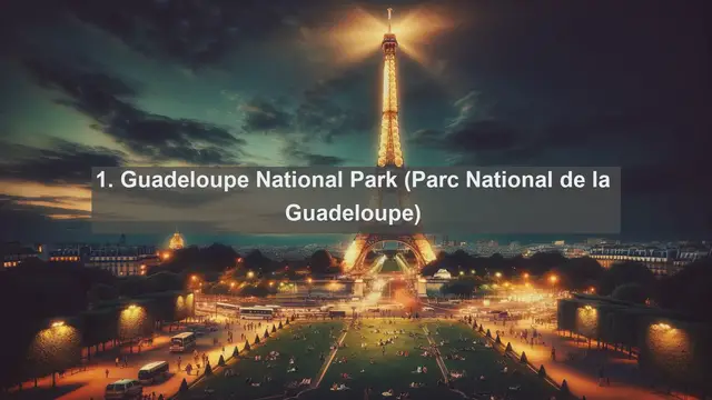 Video thumbnail for Exploring Guadeloupe's Botanical Marvels: Top 10 Native Flora Revealed!