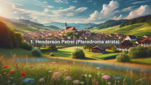 Video thumbnail for Exploring Pitcairn's Unique Wildlife: Top 10 Native Animals in the Pitcairn Islands