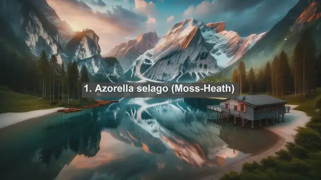 Video thumbnail for Unveiling the Botanical Marvels of South Georgia and the South Sandwich Islands: Top 10 Native Plants