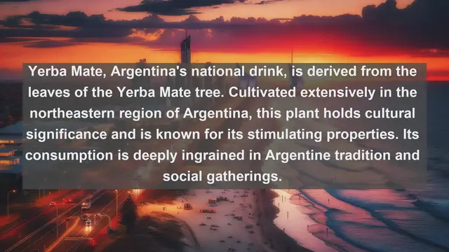 Video thumbnail for Exploring Argentina's Natural Beauty: Top 10 Native Plants You Need to Know