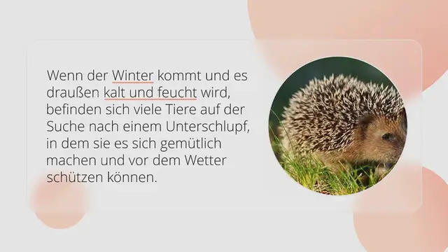 Video thumbnail for Ein Igelhaus bauen