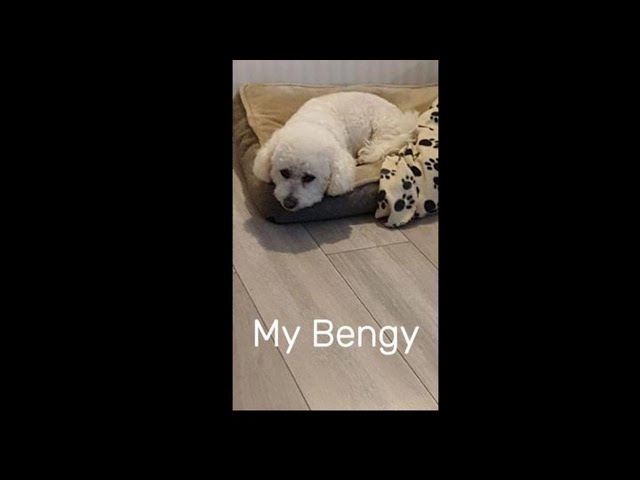 Video thumbnail for 12 Years