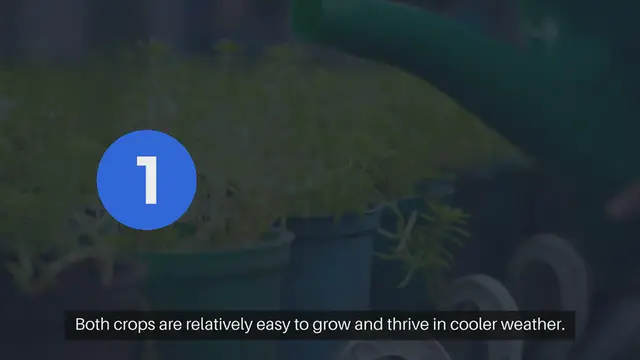 Video thumbnail for How to Grow Outdoor Spinach and Kale