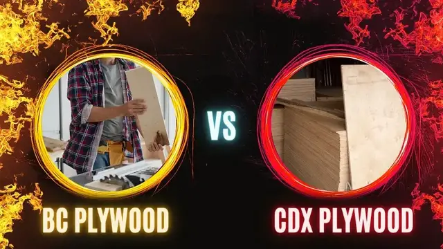 Video thumbnail for BC Plywood vs CDX
