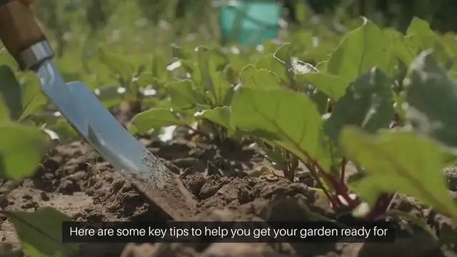 Video thumbnail for Outdoor Gardening Tips for Winter Preparation