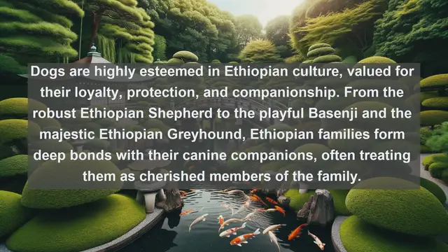 Video thumbnail for Discover Ethiopia's Most Beloved Companions: Top 10 Favorite Pets