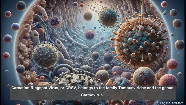 Video thumbnail for Carnation ringspot virus in biology
