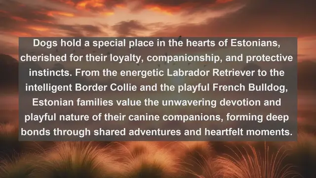 Video thumbnail for Discover Estonia's Most Beloved Companions: Top 10 Favorite Pets