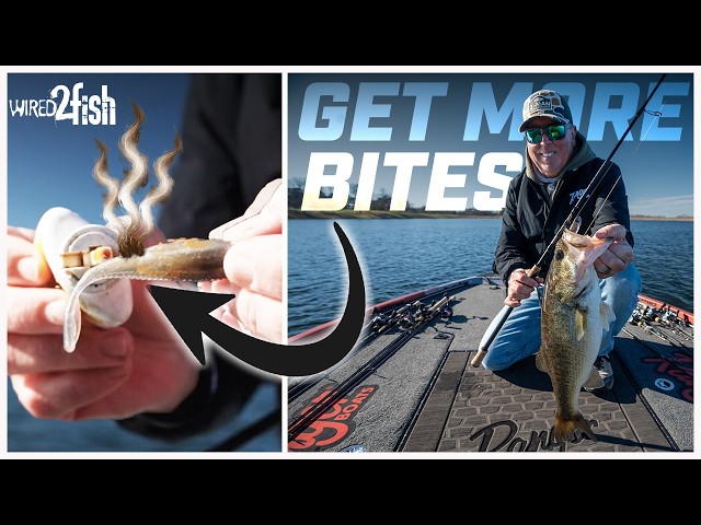 Video thumbnail for Unlock Clear Water Success With This Scent Strategy