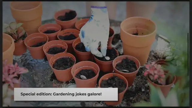 Video thumbnail for 51 More Gardening Jokes to Make Your Day!