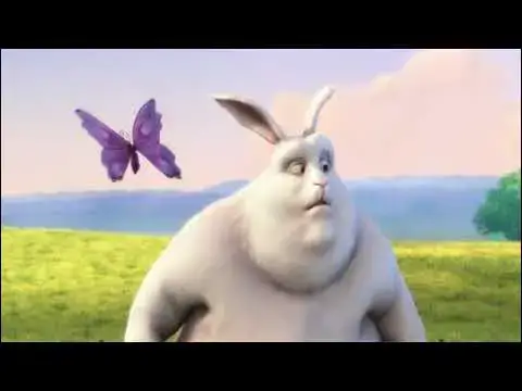 'Video thumbnail for SampleVideo 720x480 30mb'