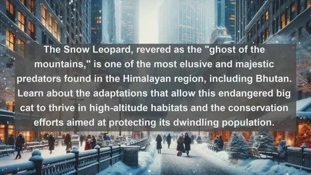 Video thumbnail for Discovering Bhutan's Natural Wonders: Top 10 Native Fauna