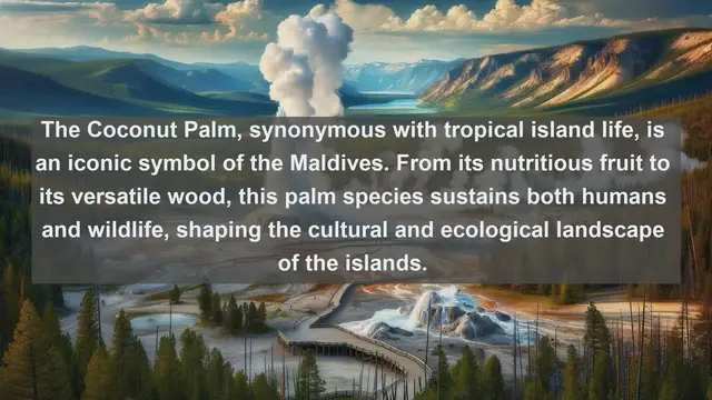 Video thumbnail for Unveiling the Floral Jewels of the Maldives: Top 10 Native Flora Species