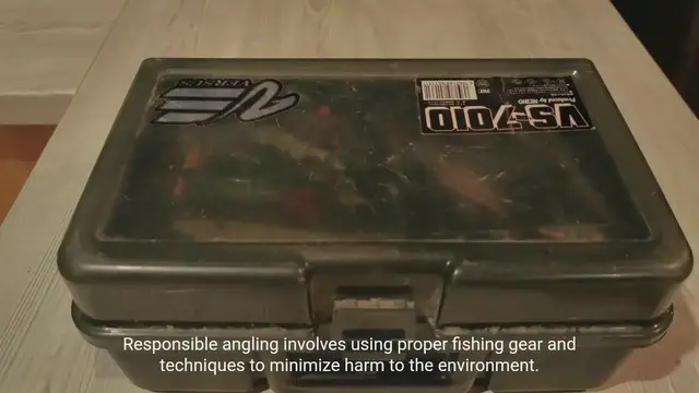 Video thumbnail for The World of Sustainable Fishing