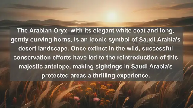 Video thumbnail for Unveiling Saudi Arabia's Rich Wildlife: Top 10 Native Animals You Need to See!