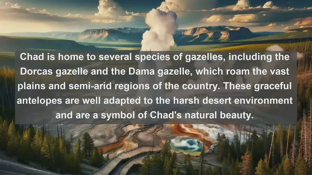 Video thumbnail for Exploring Chad's Wildlife Wonders: Top 10 Native Fauna in Chad