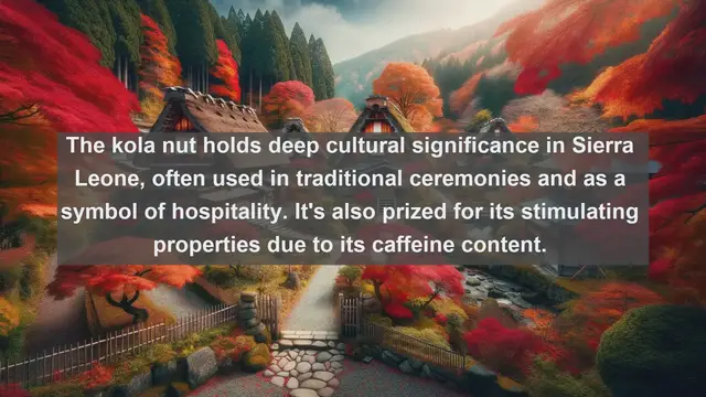 Video thumbnail for Exploring Sierra Leone's Natural Treasures: Top 10 Native Plants You Need to Know