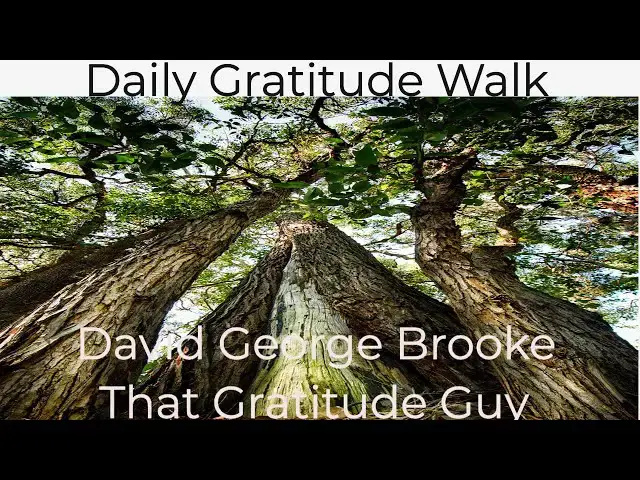 Video thumbnail for Daily Gratitude Walk:  6-16-2020