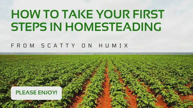 Video thumbnail for Flickify Example - Homestead