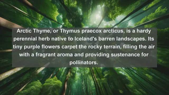 Video thumbnail for Unveiling Iceland's Botanical Treasures: Top 10 Native Flora You Must See!