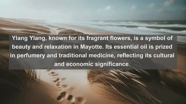 Video thumbnail for Exploring Mayotte's Natural Treasures: Top 10 Native Plants in Mayotte