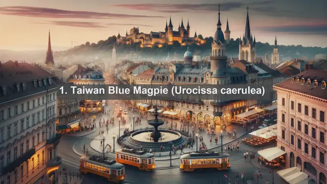 Video thumbnail for Wings of Taiwan: Exploring the Top 10 Native Birds of the Island