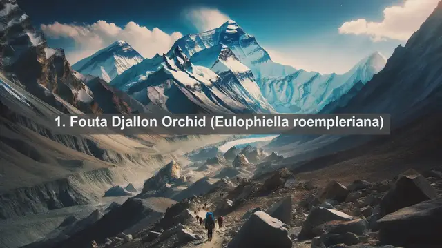 Video thumbnail for Exploring Guinea's Natural Beauty: Top 10 Native Plants You Need to Know