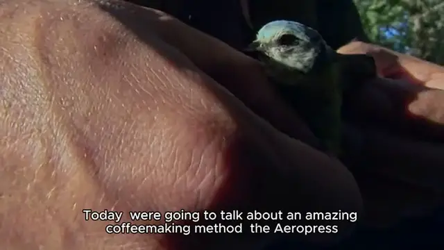 Video thumbnail for Aeropress recipe