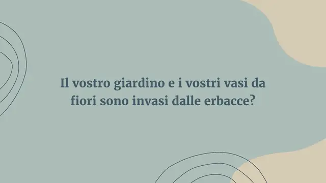 Video thumbnail for Il diserbante fatto in casa che è pronto in 2 minuti e che le erbacce odiano!