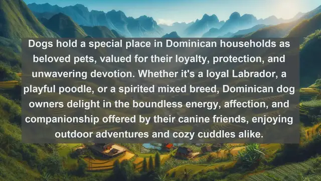 Video thumbnail for Discover Dominica's Beloved Pets: Top 10 Favorites!