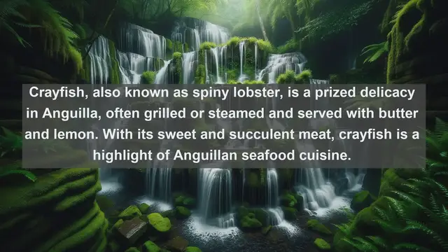 Video thumbnail for Taste of Anguilla: Explore the Top 10 Mouthwatering Anguillan Dishes