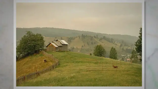 Video thumbnail for How to Hide a Shed From Your HOA: Tips and Tricks