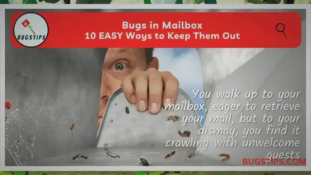 Video thumbnail for Bugs in Mailbox: 10 EASY Ways to Keep Them Out
