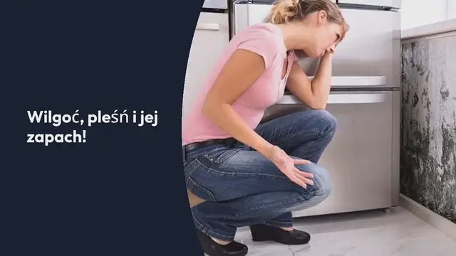 Video thumbnail for 3 rośliny, które zapobiegają pojawianiu się wilgoci i pleśni w domu