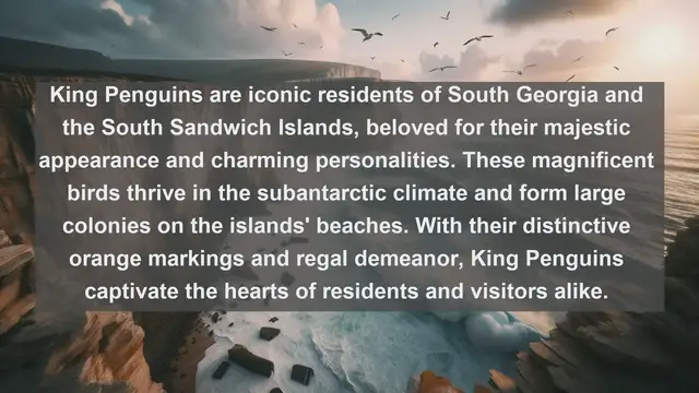 Video thumbnail for Exploring South Georgia and the South Sandwich Islands' Top 10 Beloved Pets