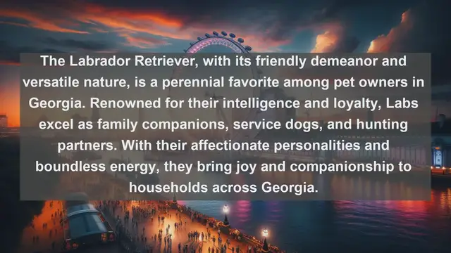 Video thumbnail for Exploring Georgia's Pet Paradise: Top 10 Favorite Pets