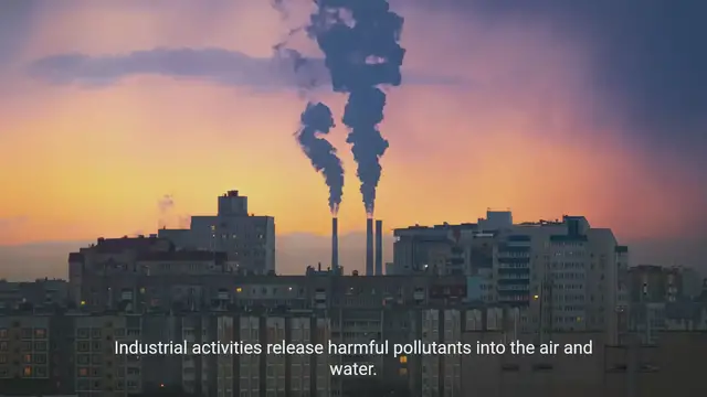 Video thumbnail for The Rising Pollution Crisis - Causes, Consequences, and Results