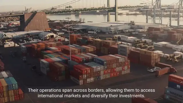 Video thumbnail for The Role of Multinational Corporations in Global Finance