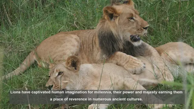 Video thumbnail for Lions in Ancient Cultures: Symbols of Power and Divinity