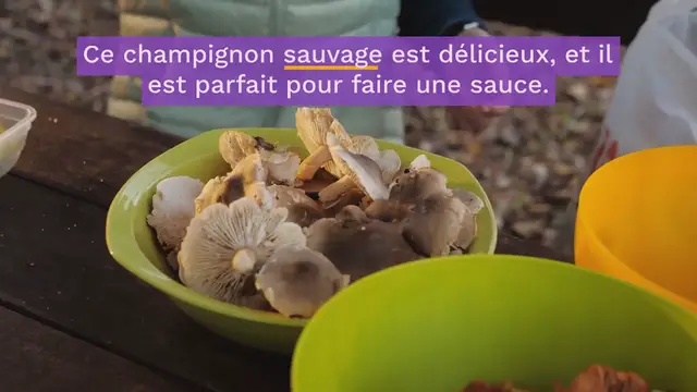 Video thumbnail for LA RECETTE DE LA SAUCE AUX CÈPES