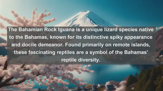 Video thumbnail for Top 10 native fauna in Bahamas