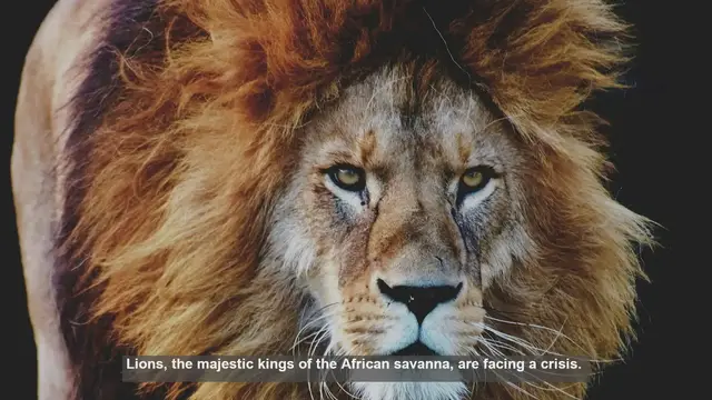 Video thumbnail for 10 Key Organizations Fighting for Lion Conservation