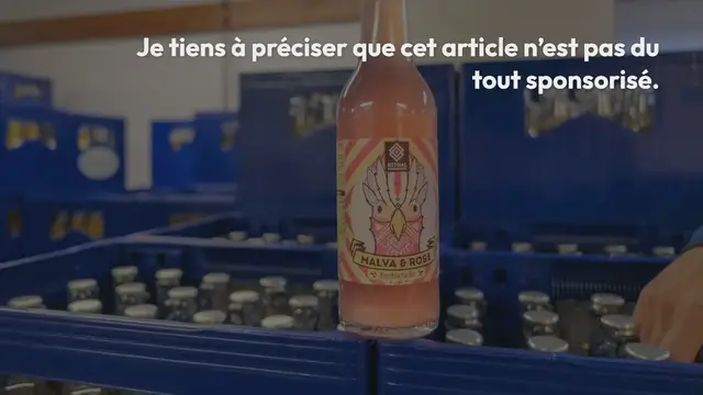 Video thumbnail for Découvrez le kombucha, boisson aux mille vertus