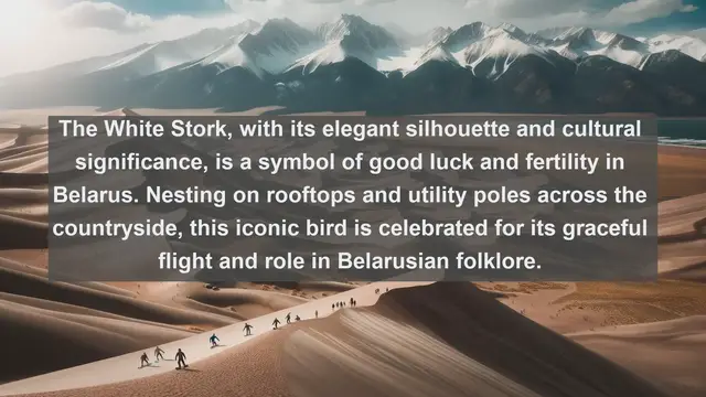 Video thumbnail for Exploring Belarusian Avifauna: Top 10 Native Birds in Belarus